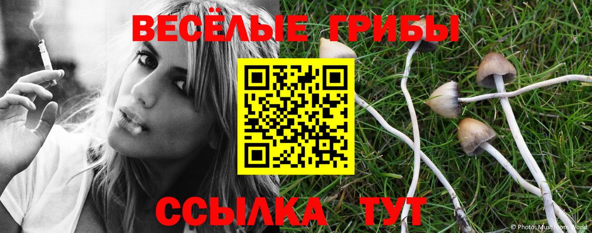 Псилоцибиновые грибы мицелий  Псилоцибиновые грибы MAGIC MUSHROOMS  Новый Уренгой  Вход с VPN 