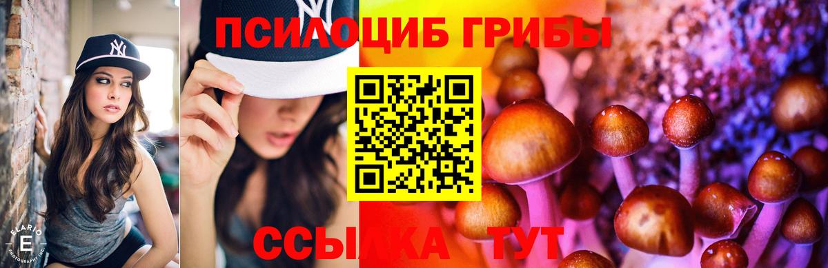 Псилоцибиновые грибы ЛСД Новый Уренгой